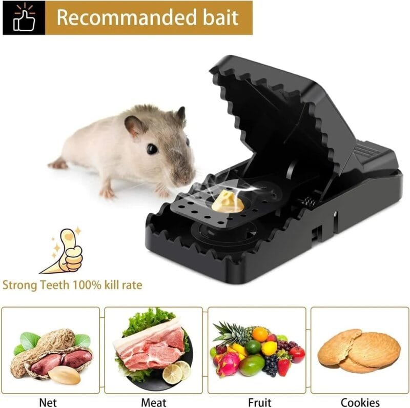 Mouse Traps for Instant Kill | Effective Indoor Rodent Control