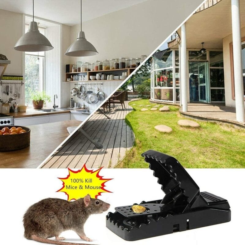 Mouse Traps for Instant Kill | Effective Indoor Rodent Control - Image 2