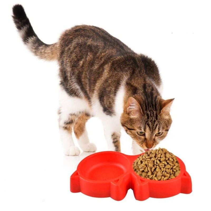 Cat Shaped Double food bowl Pet Plastic food bowl (Random Color) - Image 2