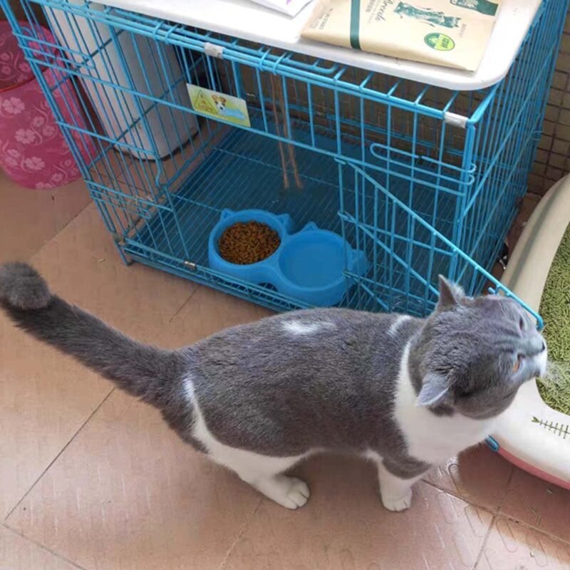 Cat Shaped Double food bowl Pet Plastic food bowl (Random Color) - Image 6